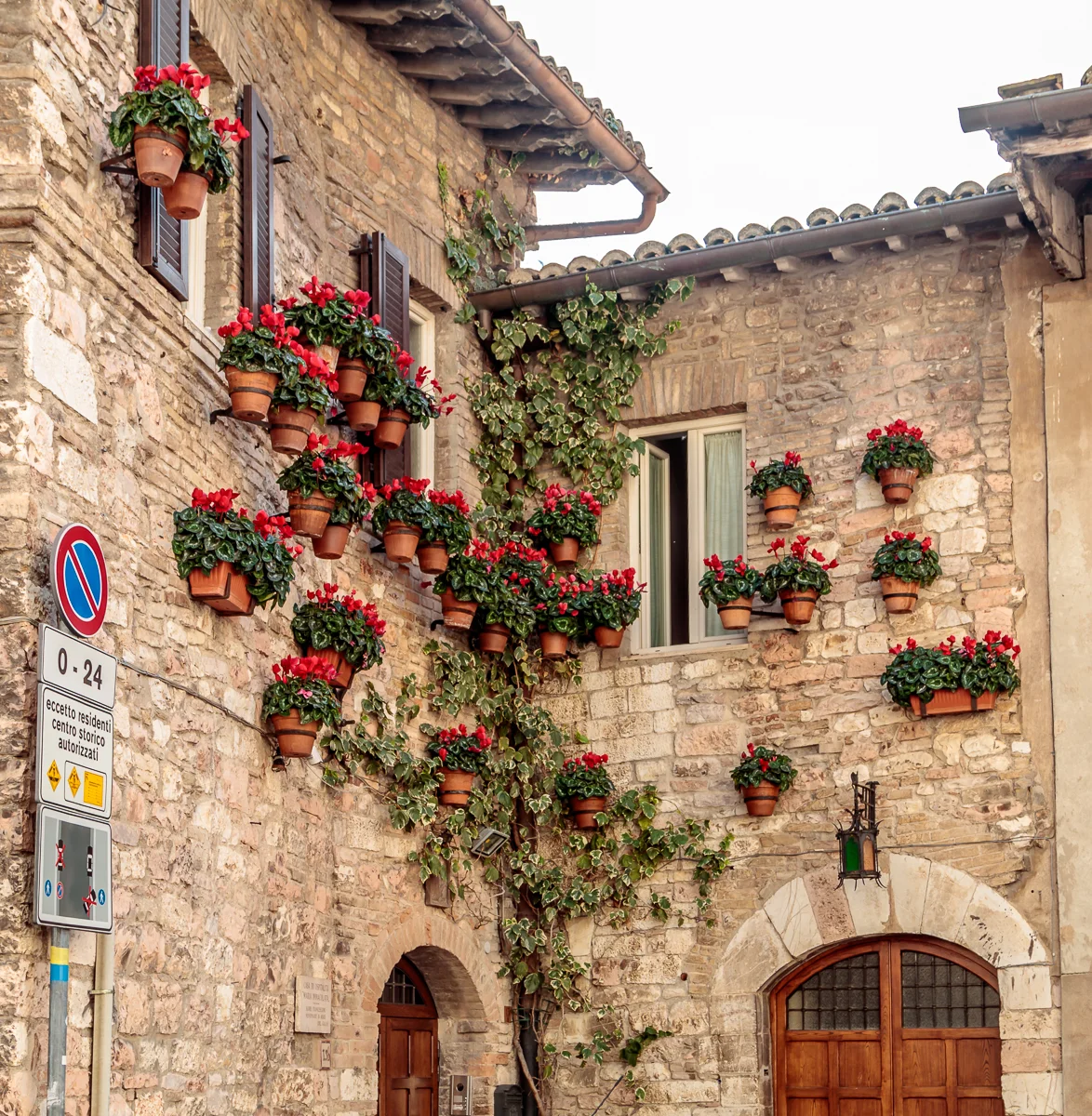 Potted Flowers on Walls