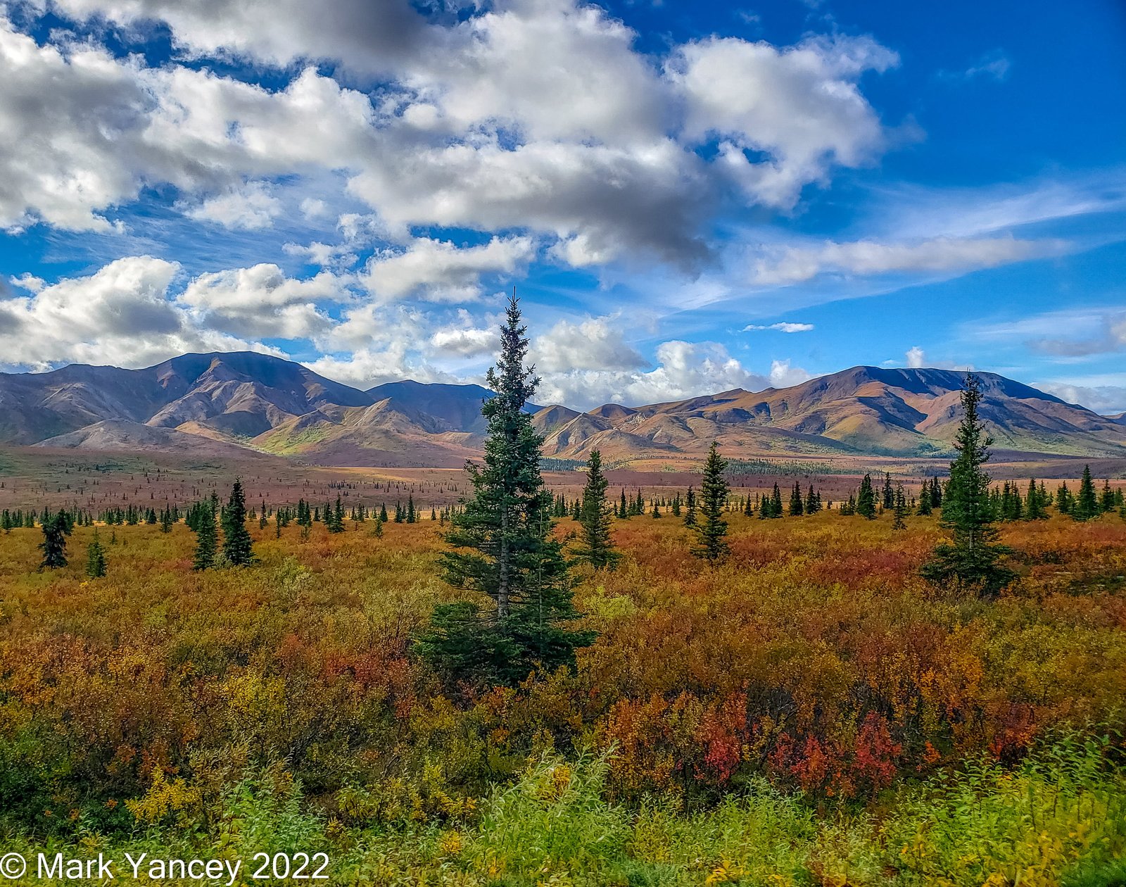 Sub-Arctic Meadow Fall Colors