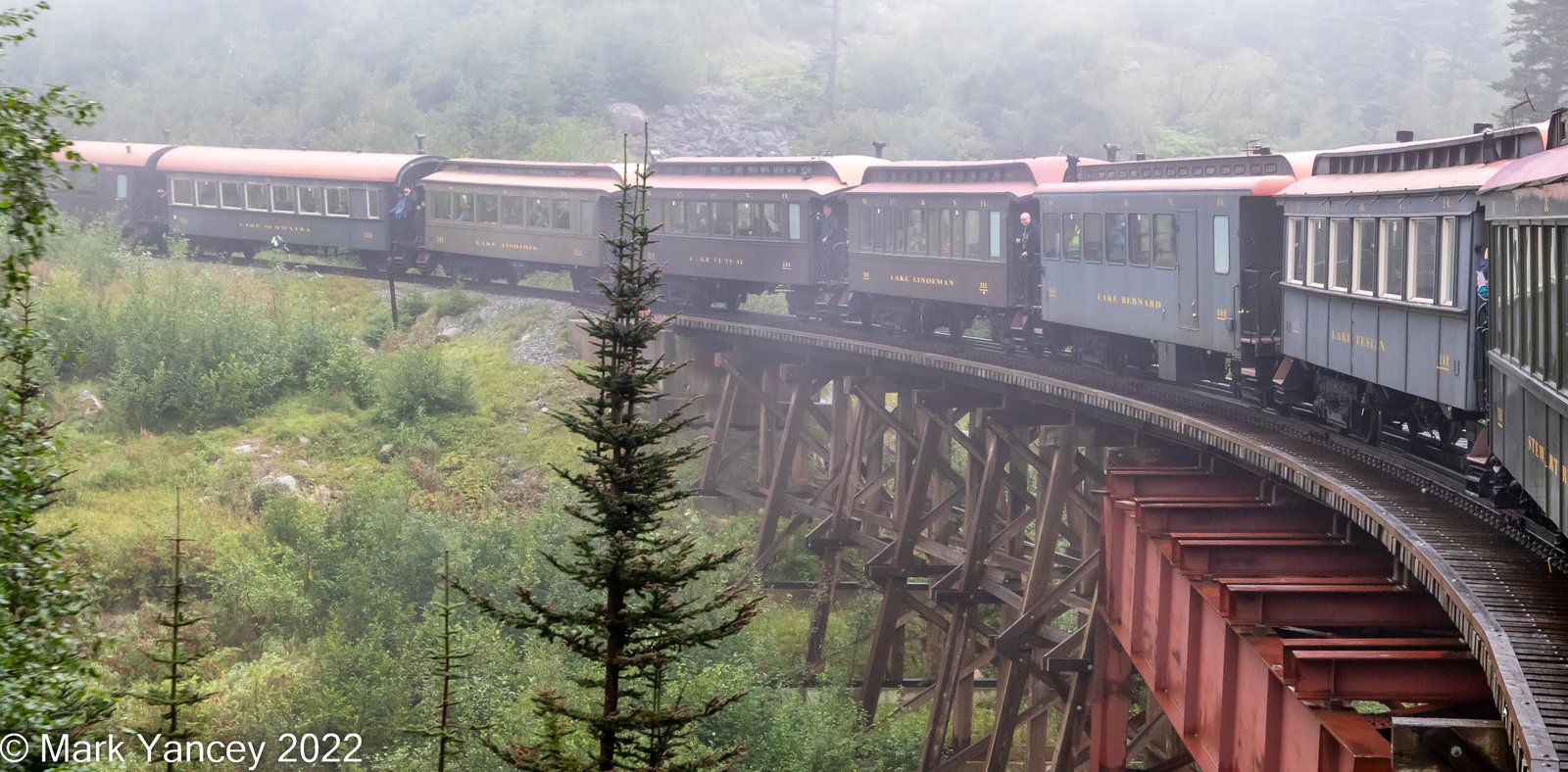 Train on Trestle Bridge