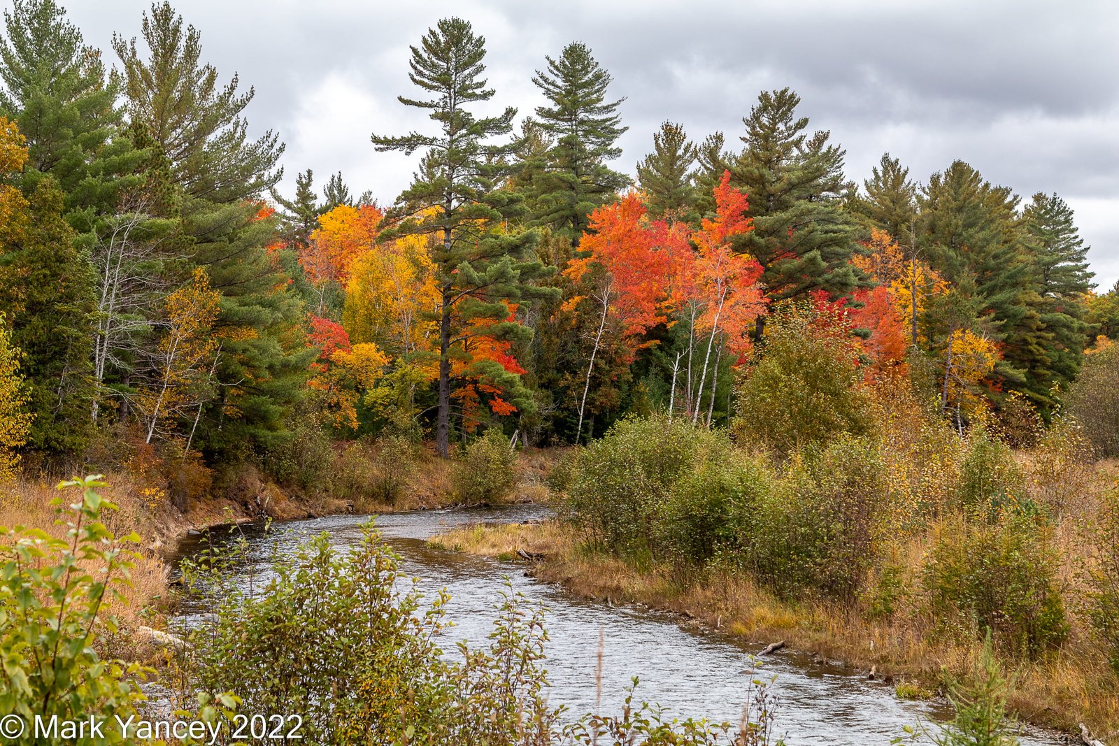 Meandering River and Fall Colors