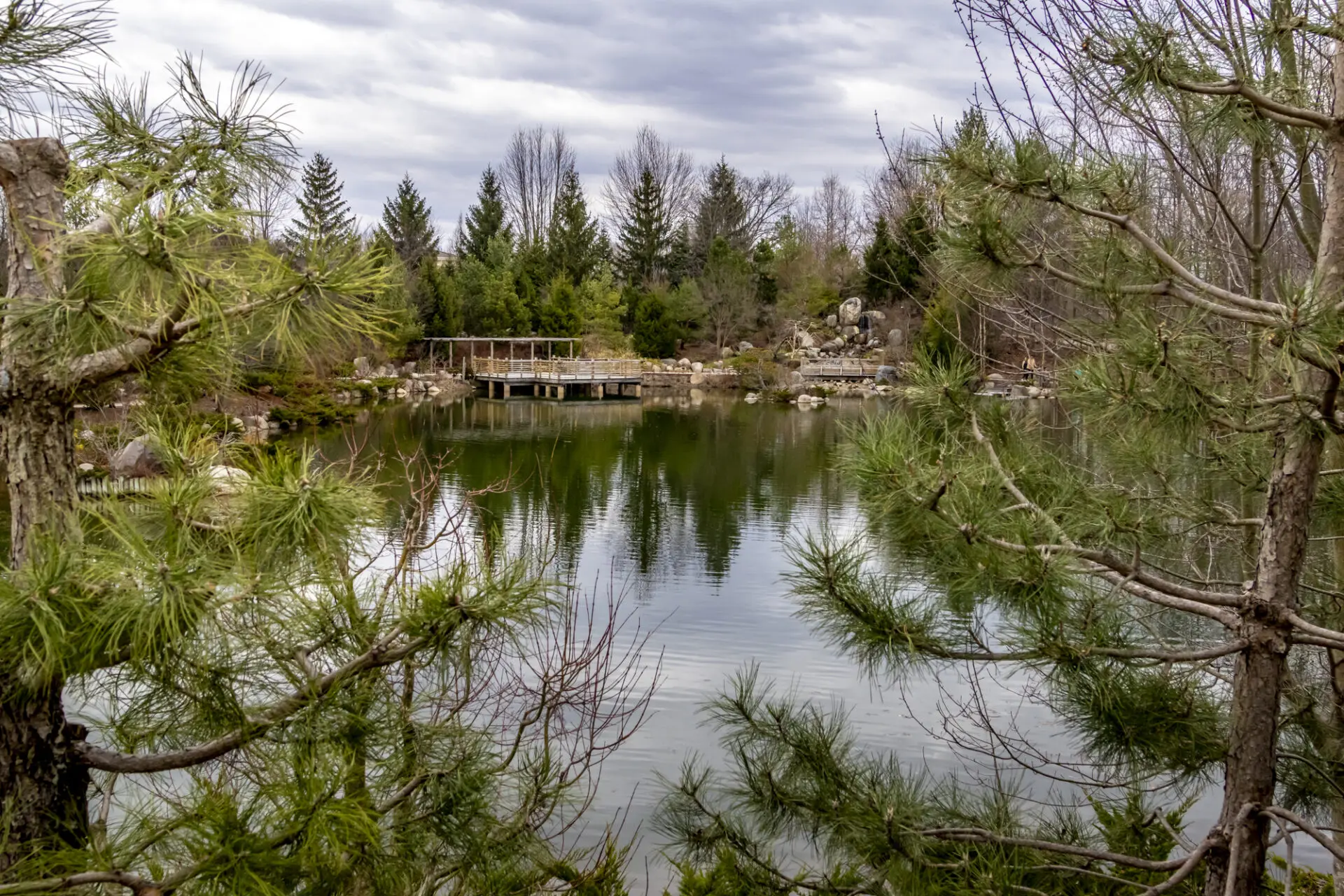 View in the Japanese Garden